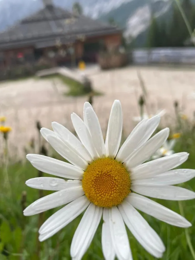Inn Baita Deona Cibiana