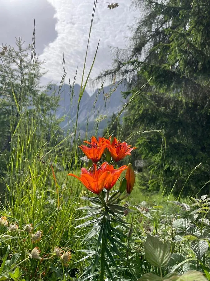 Baita Deona Cibiana Italy